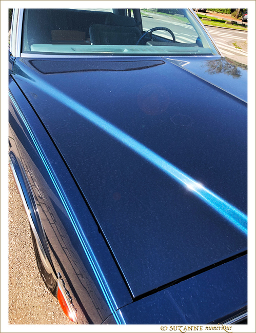 La longue voiture Bleue -2- 