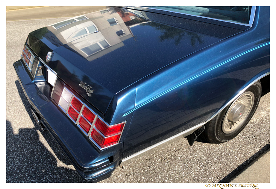 La longue voiture Bleue -1-