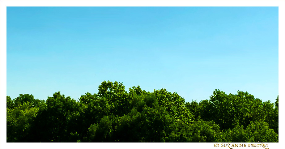 En Bleu et Vert, l'�t� 2020 -- 06/08/20