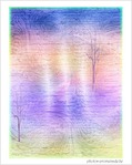 Arbres -- 21/06/06