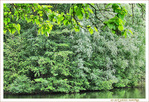 Verte Symphonie -- 20/07/12