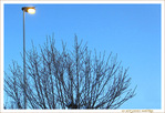 Tout l�-haut, il fait Chaud -- 24/01/11