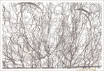 Rondouillons naturels -- 17/03/13