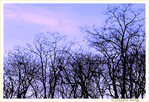 La fin de l'Hiver -- 25/03/21