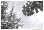 Rencontre Automne Hiver -- 22/12/13