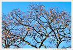 Sous le Soleil -03- Hiver 2022 -- 09/02/22