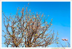 Sous le Soleil -07- Hiver 2022 -- 20/03/22