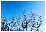 Sous le Soleil -06- Hiver 2022 -- 16/03/22