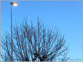 Tout l�-haut, il fait Chaud -- 24/01/11