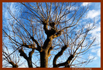 Sous le Soleil -02- Hiver 2023 -- 19/01/23