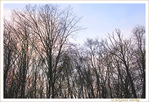 Quand le Soleil peine � percer -- 13/01/18
