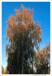 Sous le Vent -06- Automne 2021  -- 30/11/21