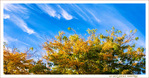 V'l� l'Automne 2022 -05-
