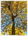 V'l� l'Automne 2022 -06- -- 26/10/22