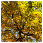 V'l� l'Automne 2022 -07- -- 02/11/22