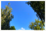 Certains partent en Vacances -- 06/08/21