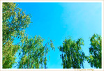 En Bleu et Vert, l'�t� 2023 -- 21/08/23
