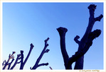 Ballet a�rien hivernal -- 18/02/20