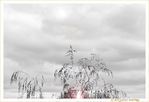Les Arbres par-dessus les Toits -- 19/10/20