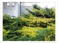 Janvier est bien l� -- 30/01/12