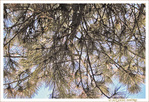 Faisceaux vers le Bas -- 14/04/13
