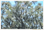 Faisceaux vers le Haut -- 07/04/13