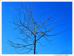 Un p'tit Coup de Soleil -- 12/03/13