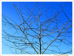 Quand l'Hiver accueille le Soleil -- 14/03/13