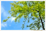 Vert un Doux Et� -- 24/06/13