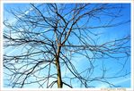 Branches d�licates -- 17/02/18