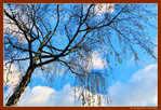 V'l� l'Automne 2024 -08- -- 18/12/24