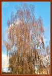 V'l� l'Automne 2024 -07- -- 14/12/24