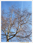 Nuage ou Sillage�? -- 16/03/12