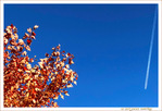 Sous le Vent -01- Automne 2021 -- 13/11/21