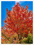 V'l� l'Automne 2023 -03- -- 12/11/23