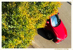 La Petite Voiture Rouge -2- -- 26/10/20