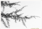 S'�tirer au Vent l�ger -- 23/02/13