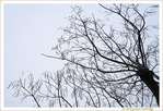 Vent d'Est�? Vent d'Ouest�? -- 06/03/15