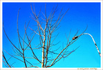 Faits d'Hiver -- 12/02/14