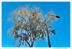 Sous le Vent -02- Automne 2021 -- 16/11/21