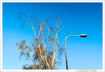 Sous le Vent -03- Automne 2021 -- 20/11/21