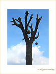 Douceurs pour Oiseaux -- 24/03/09