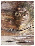 Sous surveillance -- 28/04/12