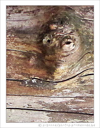 Sous surveillance