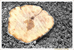 J'en suis sci�e -- 19/01/12