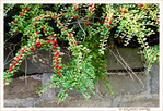 V'l� l'Automne 2022 -02- -- 12/10/22