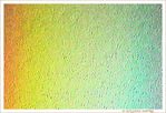 Les couleurs de la Pluie -- 29/03/11