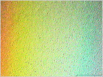 Les couleurs de la Pluie