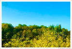 V'l� l'Automne 2024 -01-