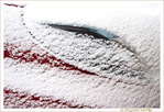 Clin d'oeil Automobile -- 06/02/12